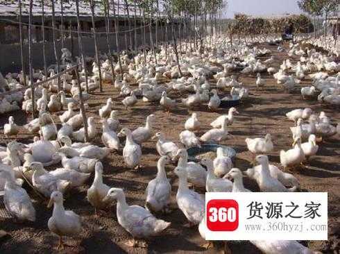 2018高职男生学哪些专业好