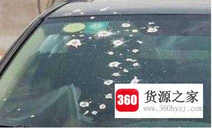 车上的树胶和鸟粪该怎么去除不伤车漆