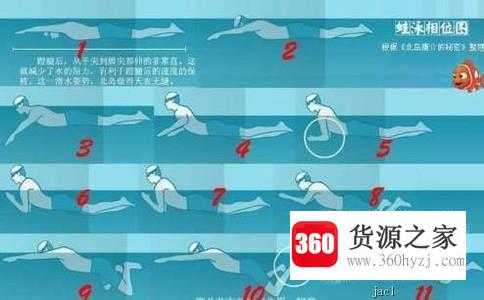 怎么自学蛙泳