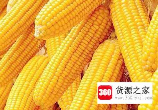 孕期准妈妈怎么搭配营养？