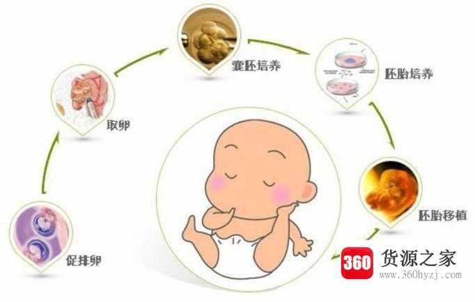 试管婴儿和人工受精的区别