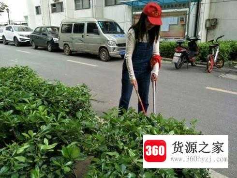 社区工作需要做哪些任务