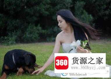 好听的昵称女生小清新