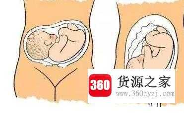 怀孕第31周的注意事项