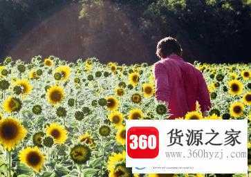给男孩子取名打分