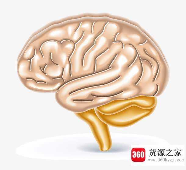 笨人怎么变聪明
