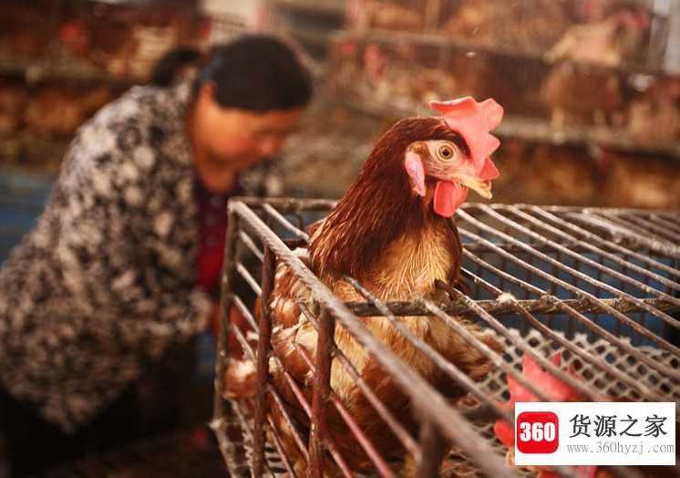 2020都发生了什么灾难