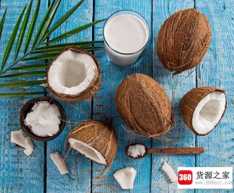 椰子算不算坚果