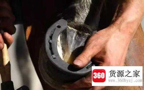 为什么马的脚上要钉蹄铁