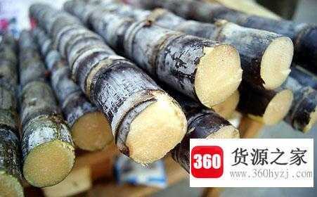 为什么甘蔗只有一头甜