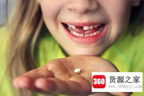 小孩子为什么要掉牙