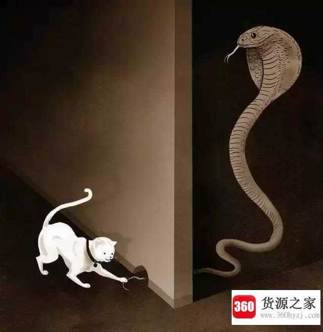 为什么人没有尾巴