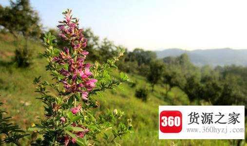 ppm是什么意思