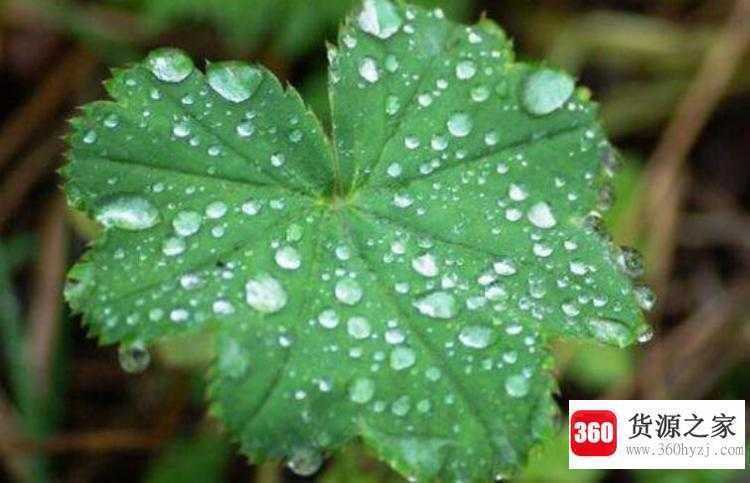 为什么会下雨