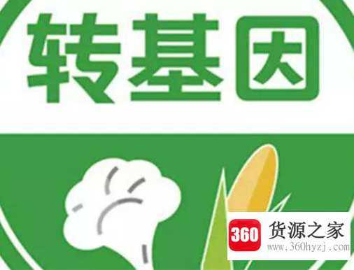 转基因是什么意思