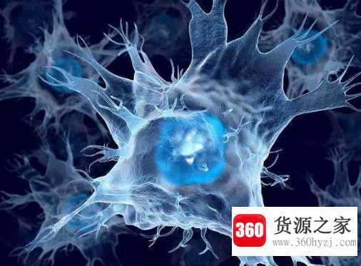dc是什么意思