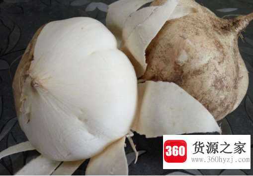 地瓜是什么