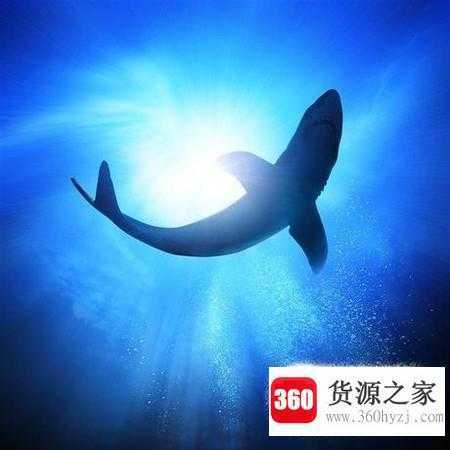 护肤品选购中应知道哪些成分