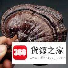 精元芝是什么