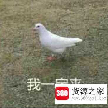 咕咕咕是什么梗