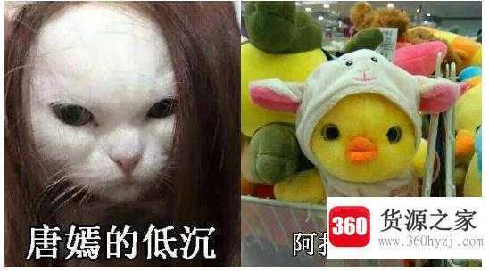 马思纯的微笑是什么梗