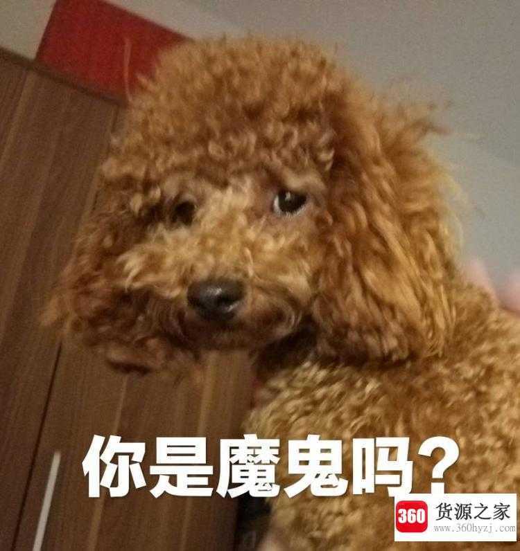 你是魔鬼吗是什么梗