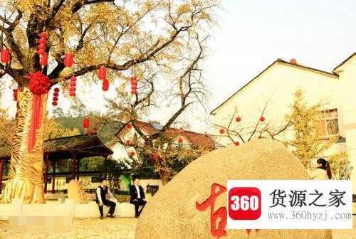 中国银杏之乡是哪个城市