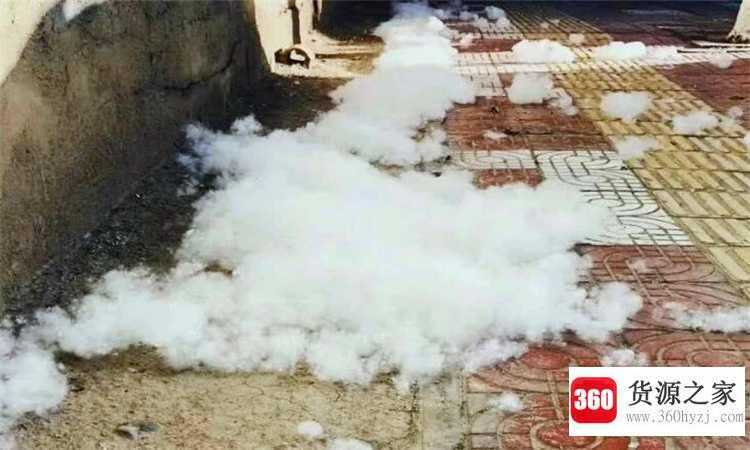 家里到处都是柳絮怎么办