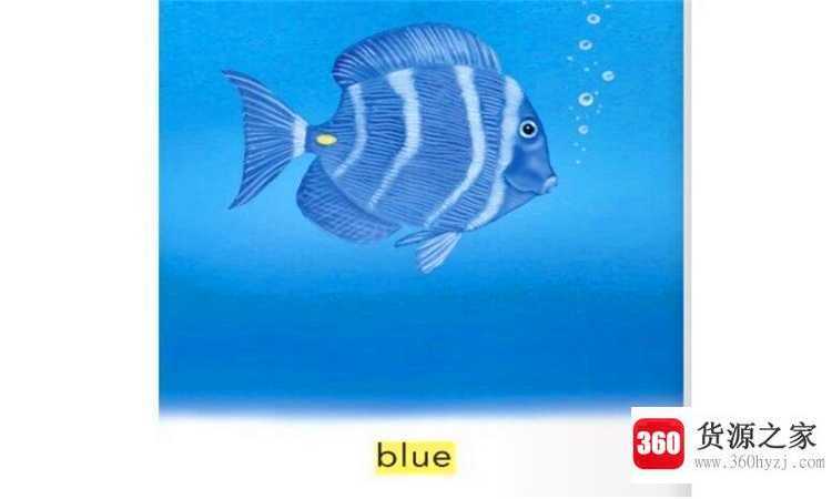 blue什么意思