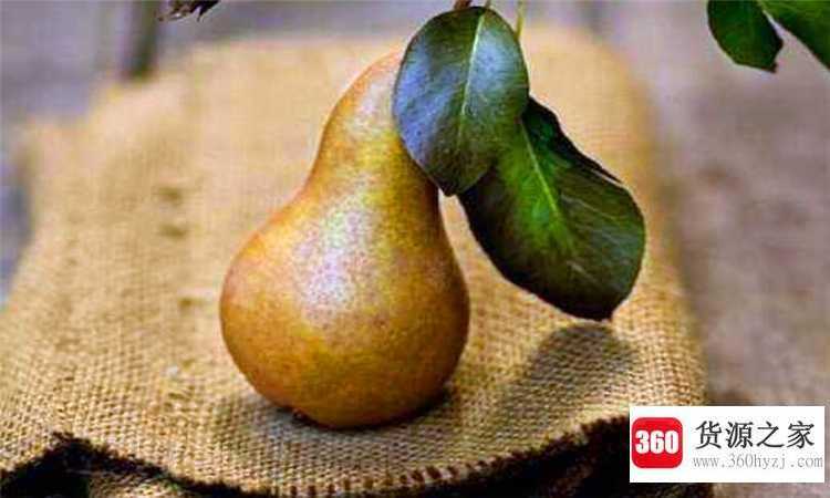 pear是什么意思