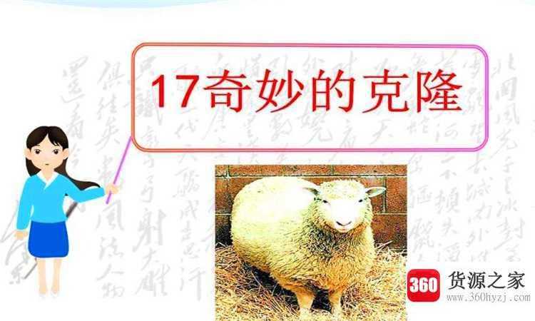 克隆是什么意思