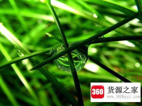 normal是什么意思