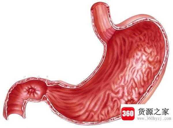 嗳气是什么意思
