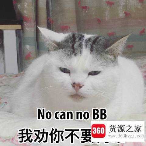 双标是什么意思