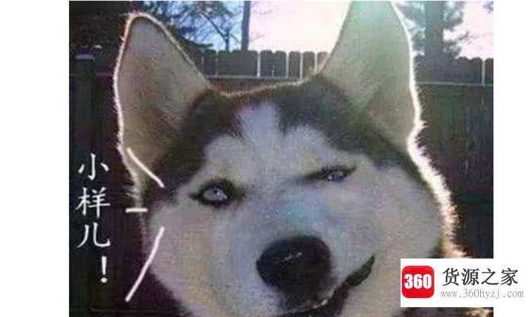 小样是什么意思