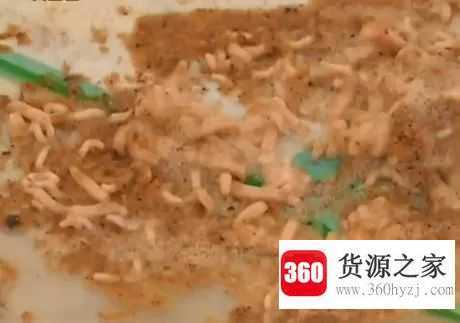 厕所的蛆虫老往上爬怎么解决
