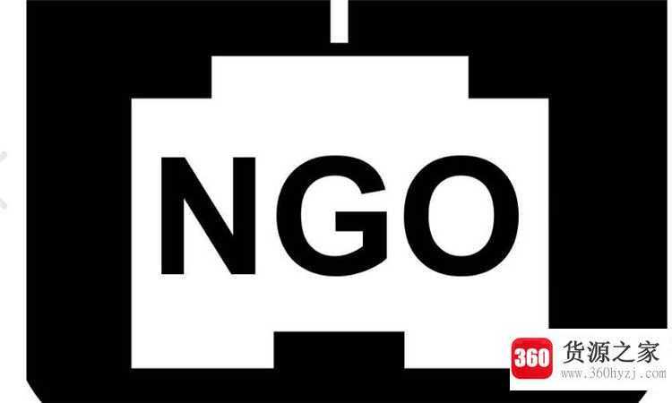 ngo是什么意思