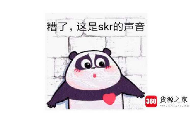 skr什么意思