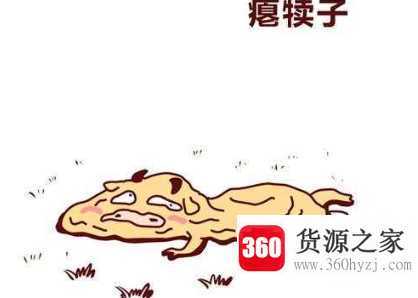 犊子是什么意思