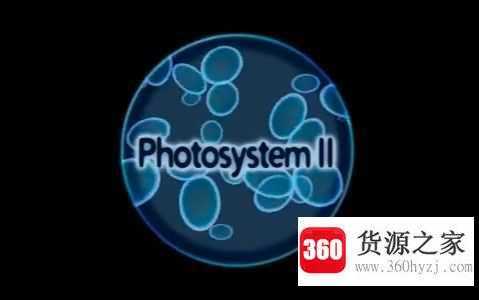 system是什么意思
