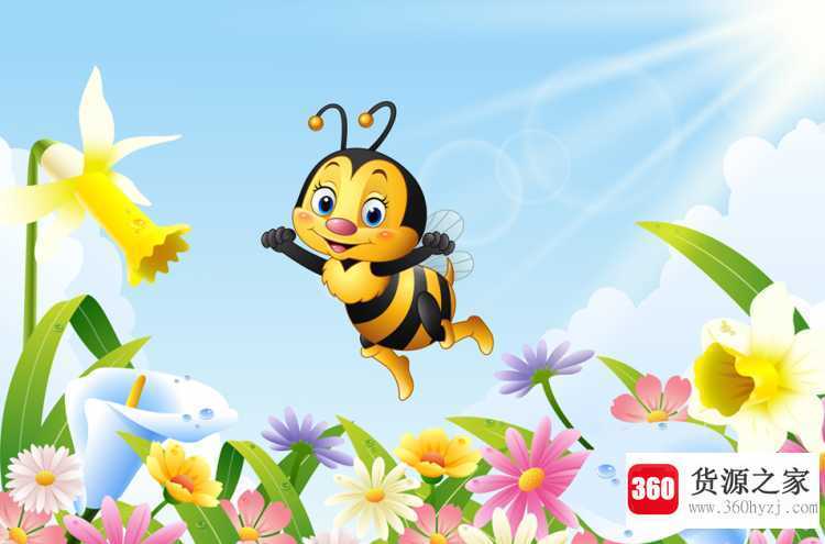 honey什么意思