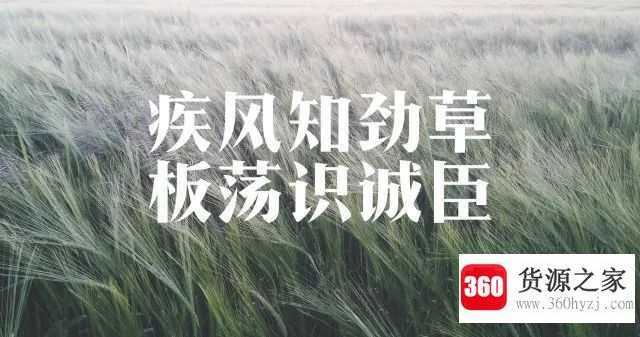 疾风知劲草板荡识诚臣是什么意思