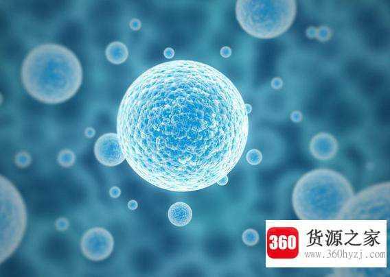 pro是什么意思中文
