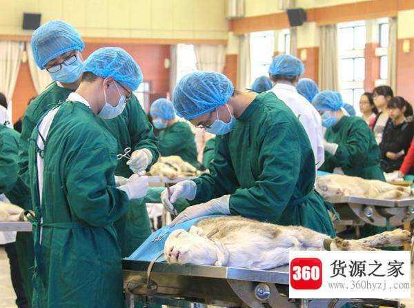 备皮是什么意思啊