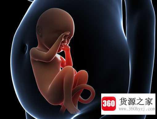 双顶径是什么意思