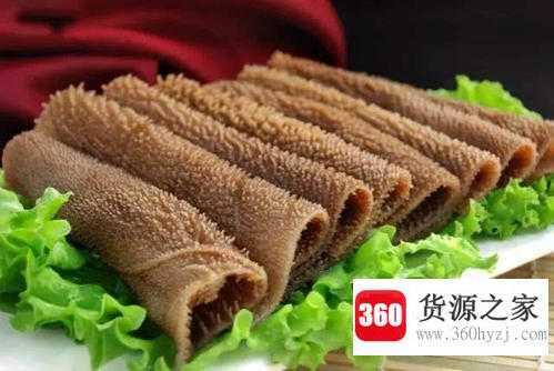 毛肚是什么动物身上的