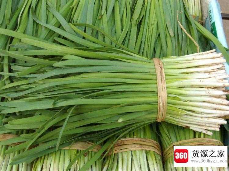 割韭菜是什么梗