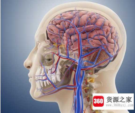 人每天要吃掉两瓶鼻涕吗