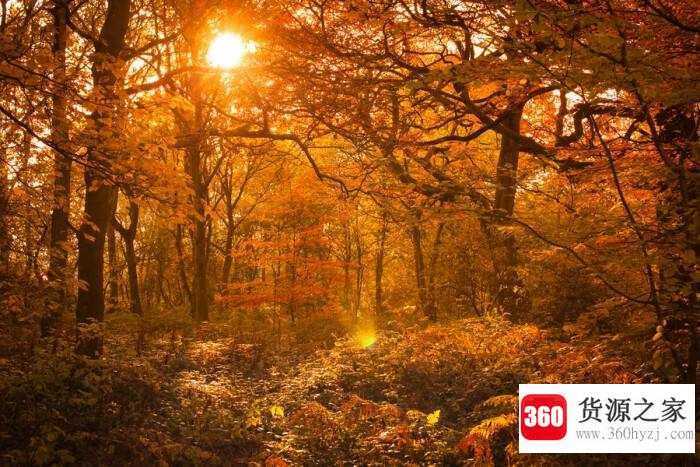 autumn是什么意思