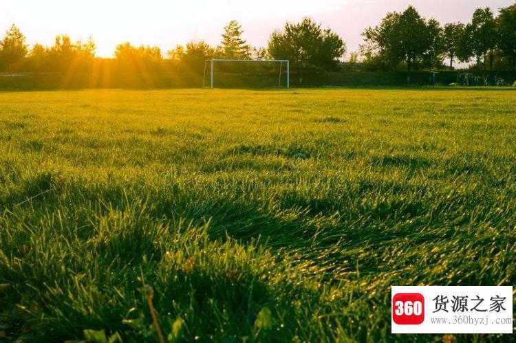 field是什么意思